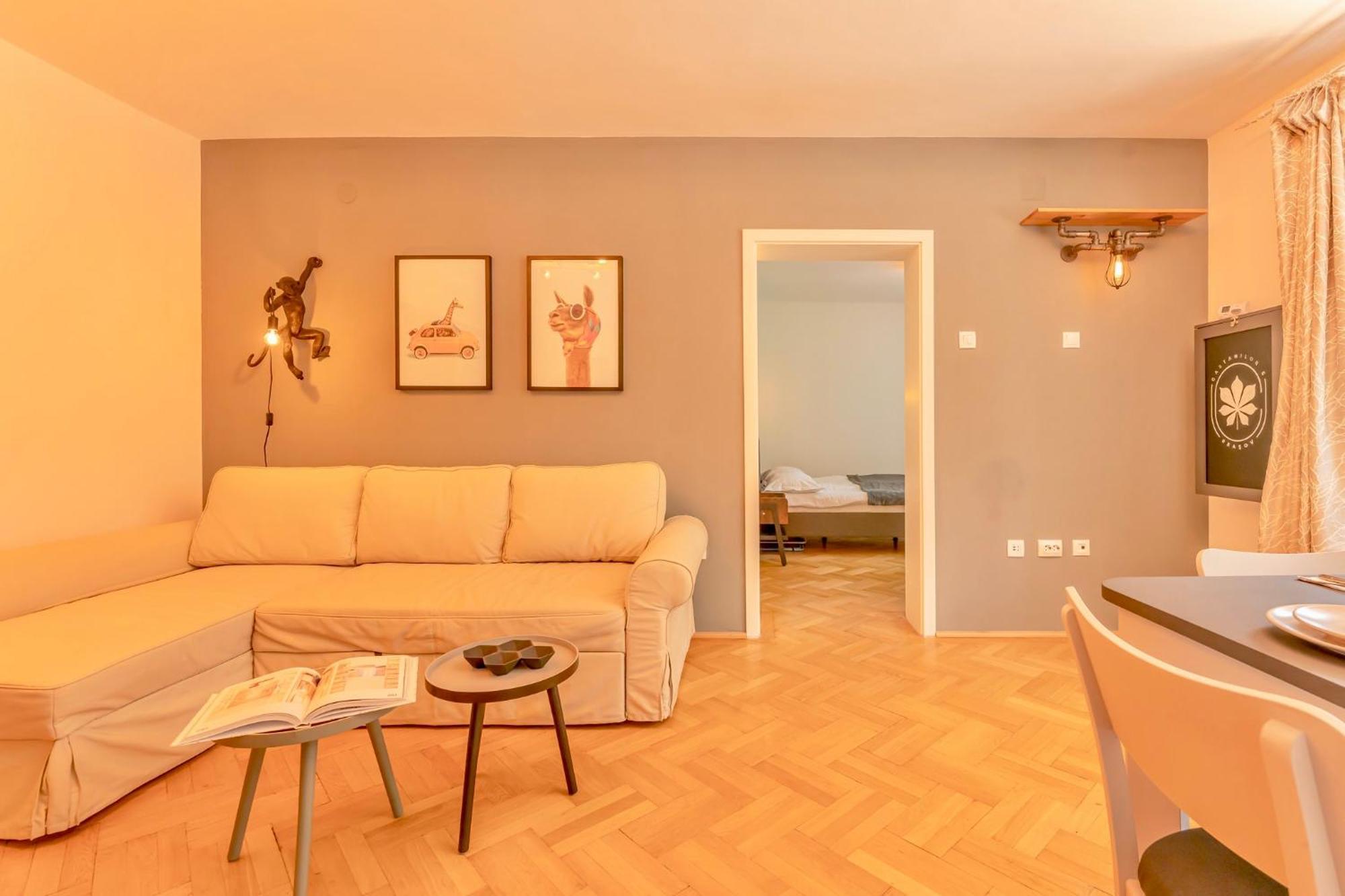 Castanilor 6 - Hip Industrial Apartment Close To City Centre Braşov Dış mekan fotoğraf